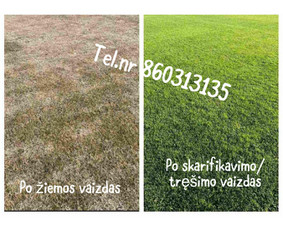 Medžių genėjimas*gyvatvorių karpymas*aplinkos tvarkymas / Zigmas / Darbų pavyzdys ID 3295063