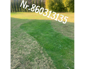 Medžių genėjimas*gyvatvorių karpymas*aplinkos tvarkymas / Zigmas / Darbų pavyzdys ID 3295067