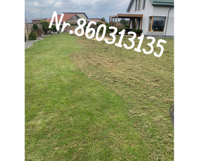 Medžių genėjimas*gyvatvorių karpymas*aplinkos tvarkymas / Zigmas / Darbų pavyzdys ID 3295071