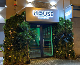 Vitrinų dekoravimas - Augalų menas - dekoras ir žalioji interjero estetika - 3