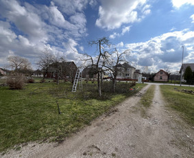 Sklypų tvarkymas, vaismedžių genėjimas, vejos įrengimas / Aplinkos Priežiūra / Darbų pavyzdys ID 3298759