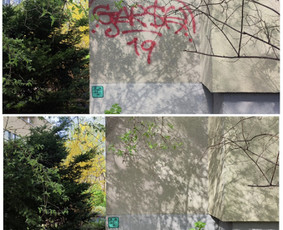 Grafičių šalinimas, pastatų, trinkelių plovimas, dažymas - Grafiti plovimas - 4 Grafiti plovimas - Grafičių šalinimas, pastatų, trinkelių plovimas, dažymas - 4