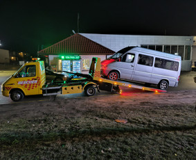 Tralas Vilniuje techninė pagalba kelyje Rescuer 24/7 / Miroslav / Darbų pavyzdys ID 3299151