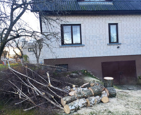 Medžių pjovimas, genėjimas. Aplinkos,miškų priežiūra / MB "Miškų Vilkai" / Darbų pavyzdys ID 3300467