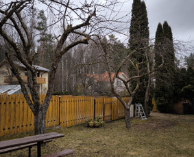 Medžių pjovimas, genėjimas. Aplinkos,miškų priežiūra / MB "Miškų Vilkai" / Darbų pavyzdys ID 3300481