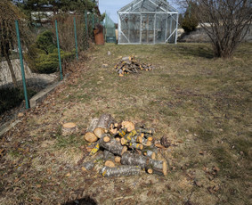 Medžių pjovimas, genėjimas. Aplinkos,miškų priežiūra / MB "Miškų Vilkai" / Darbų pavyzdys ID 3302403
