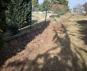 Medžių pjovimas, genėjimas. Aplinkos,miškų priežiūra / MB "Miškų Vilkai" / Darbų pavyzdys ID 3302407