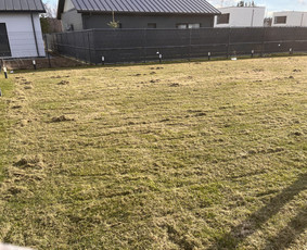 Vejos aeravimas - Aplinkos priežiūra / tvarkymas - 3