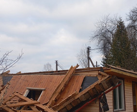 Griovimo darbai, šiukšlių išvežimas / Vytautas Šuliokas / Darbų pavyzdys ID 3307339