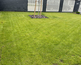 Vejos priežiūra, įrengimas - Automatinės laistymo sistemos.apželdinimo paslaugos. - 2