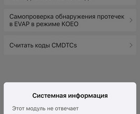 Диагностика и ремонт автомобилей в Вильнюсе / Yevhen / Darbų pavyzdys ID 3309451
