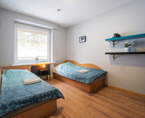 Nameliai ant Vilnojos ežero kranto / Nameliai ant Vilnojos ežero kranto / Darbų pavyzdys ID 3310997