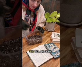 UGC video apie sodininkystės pradžią. Klientas Moki Veži.