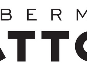 Skaitmeninės grafikos dizaineris - Logotipų kūrimas - 3 Logotipų kūrimas - Skaitmeninės grafikos dizaineris - 3