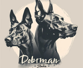 Skaitmeninės grafikos dizaineris - Logotipų kūrimas - 4 Logotipų kūrimas - Skaitmeninės grafikos dizaineris - 4