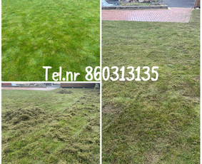 Medžių genėjimas*gyvatvorių karpymas*aplinkos tvarkymas / Zigmas / Darbų pavyzdys ID 3316167