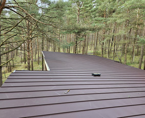 Stogdengiai. Stogo dengimas / Uab Algio stogai / Darbų pavyzdys ID 3317637