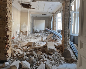 Visi vidaus ir išorės griovimo darbai / Rokas / Darbų pavyzdys ID 3319235