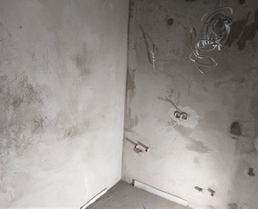 Apdailos darbai, plytelių klijavimas, sienų tinkavimas / Jevgenijus / Darbų pavyzdys ID 3320687