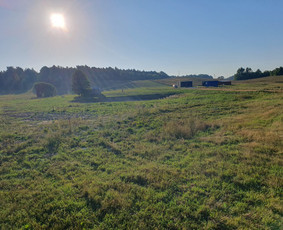 Vejos įrengimas, paruošimas, frezavimas, grėblys, paruošėjas / Mb Šiaurės Kasyba / Darbų pavyzdys ID 3322035