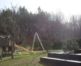 Vaismedžių/medžių genėjimas, gyvatvorių karpymas, šienavimas / Pavelas / Darbų pavyzdys ID 3322589