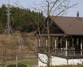 Vaismedžių/medžių genėjimas, gyvatvorių karpymas, šienavimas / Pavelas / Darbų pavyzdys ID 3322593