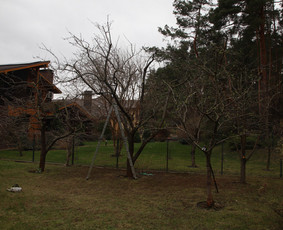 Vaismedžių/medžių genėjimas, gyvatvorių karpymas, šienavimas / Pavelas / Darbų pavyzdys ID 3322597