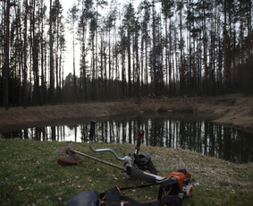 Vaismedžių/medžių genėjimas, gyvatvorių karpymas, šienavimas / Pavelas / Darbų pavyzdys ID 3322607