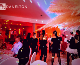 Dj Paslaugos, Renginių Įgarsinimas Ir Apšvietimas / Danelton Grupė / Darbų pavyzdys ID 3324145