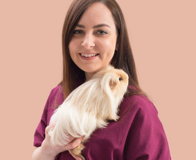 Korepeticijos paslaugos visoje Lietuvoje - Mokymai, kursai, kalbos - 2 Mokymai, kursai, kalbos - Korepeticijos paslaugos visoje Lietuvoje - 2