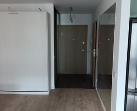 Vidaus apdailos darbai dažymas,plytelių klijavimas ir kita / Vidaus apdailos darbai Vilniuje / Darbų pavyzdys ID 3325941