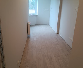 Vidaus apdailos darbai dažymas,plytelių klijavimas ir kita / Vidaus apdailos darbai Vilniuje / Darbų pavyzdys ID 3325991