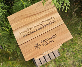 Mobilių kubilų, medinių lauko/vidaus žaidimų nuoma / medinių lauko/vidaus žaidimų nuoma / Darbų pavyzdys ID 3326459
