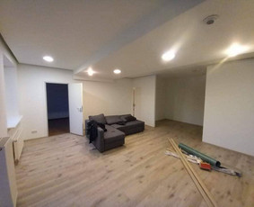 Apdailos darbai Vilnius / Glaistymas dazymas / Darbų pavyzdys ID 3326535