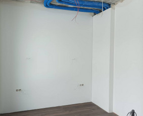 Apdailos darbai Vilnius / Glaistymas dazymas / Darbų pavyzdys ID 3326635