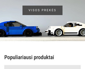#1 Internetinių svetainių ir parduotuvių kūrimas / MB REKA GROUP / Darbų pavyzdys ID 3327859