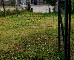 Vejos, žolės pjovimas, laistymo sistemų į irengimas / Žoliukas / Darbų pavyzdys ID 3328011