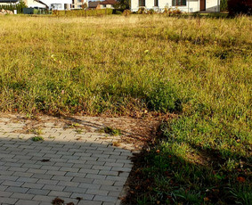 Vejos, žolės pjovimas, laistymo sistemų į irengimas / Žoliukas / Darbų pavyzdys ID 3328019