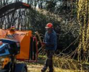 Šakų smulkinimas - Sklypų tvarkymas, griovimas,vejos įrengimas,hidroizoliacija - 1