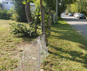 Vejos, žolės pjovimas, laistymo sistemų į irengimas / Žoliukas / Darbų pavyzdys ID 3328031