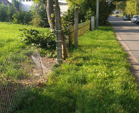 Vejos, žolės pjovimas, laistymo sistemų į irengimas / Žoliukas / Darbų pavyzdys ID 3328033