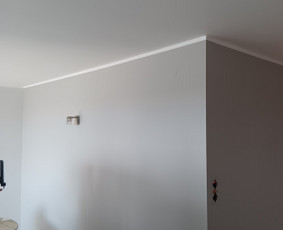 Vidaus apdailos darbai dažymas,plytelių klijavimas ir kita / Vidaus apdailos darbai Vilniuje / Darbų pavyzdys ID 3328445