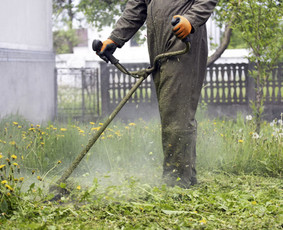 Apleistų sklypų tvarkymas - Aeravimas Skarifikavimas Žolės pjovimas Aplinkos tvarkymas - 1