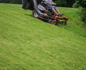 Pievų šienavimas - Aeravimas Skarifikavimas Žolės pjovimas Aplinkos tvarkymas - 1
