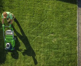Žolės pjovimas - Aeravimas Skarifikavimas Žolės pjovimas Aplinkos tvarkymas - 1