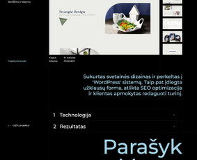 Interneto svetainių ir el. parduotuvių kūrimas - Paslaugos verslui - 3 Paslaugos verslui - Interneto svetainių ir el. parduotuvių kūrimas - 3