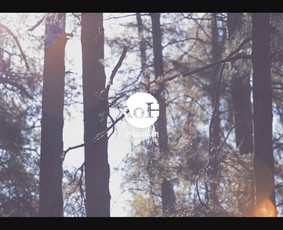 Art of Hosting in Education | aftermovie