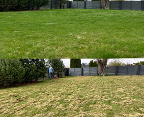 Vejos aeravimas - Teritorijų tvarkymas trimeriu, traktoriuku, žoliapjove ir kt - 1