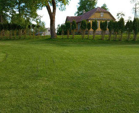 Žolės pjovimas - Vejos įrengimas, aplinkos tvarkymas, kelmų frezavimas. - 1