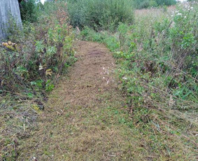 Žolės pjovimas - Vejos įrengimas, aplinkos tvarkymas, kelmų frezavimas. - 2